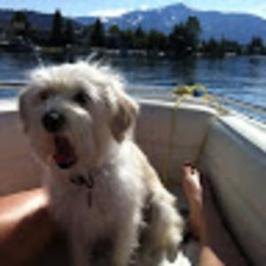 Meet your Posher, Shannon